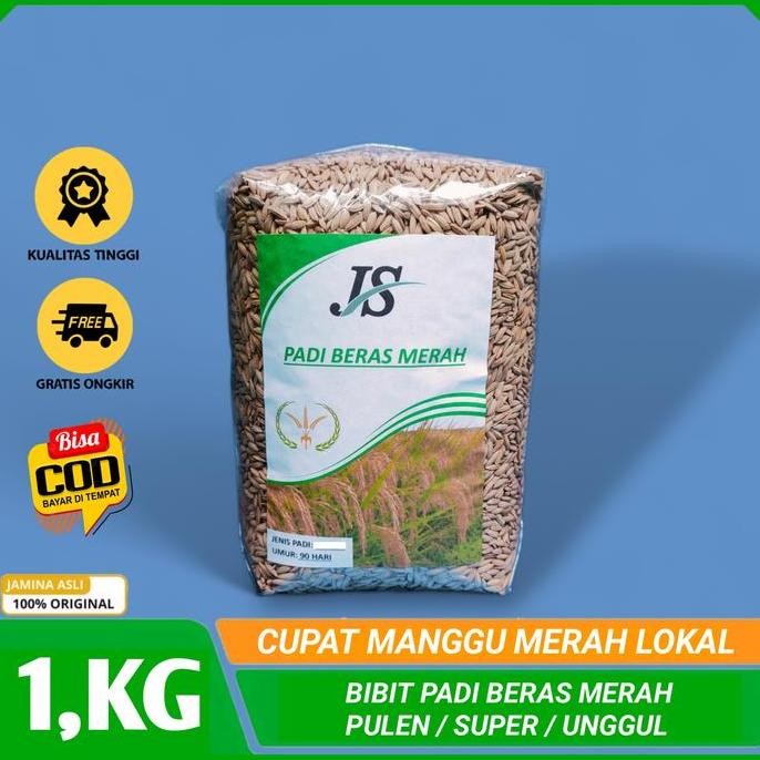 

Terlaris Bibit Padi Beras Merah Lokal 1.Kg Benih Padi Beras Merah Pulen Super Unggul