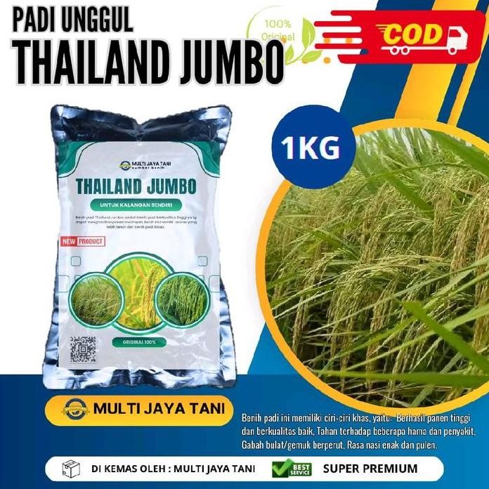 

Terlaris Benih Padi Thailand Jumbo Berkualitas Tinggi 1Kg