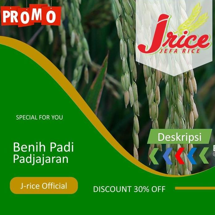 

Terlaris Benih Padi Padjajaran Bibit Padi Unggul