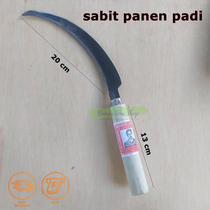 

Terlaris Arit Panen Padi Sabit Padi Rumput Bergerigi