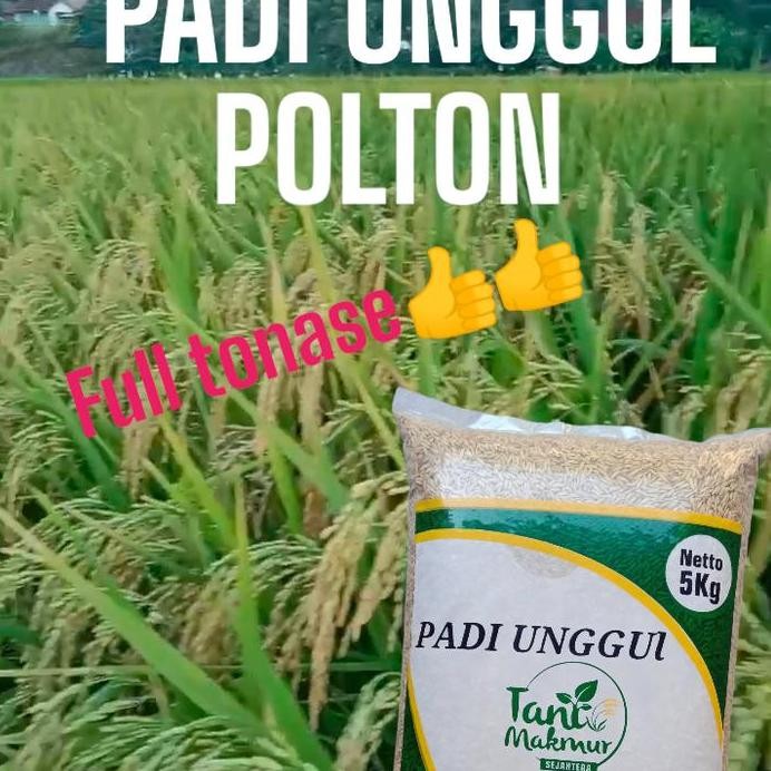 

Terlaris Benih Padi Polton Kemasan 5Kg Original
