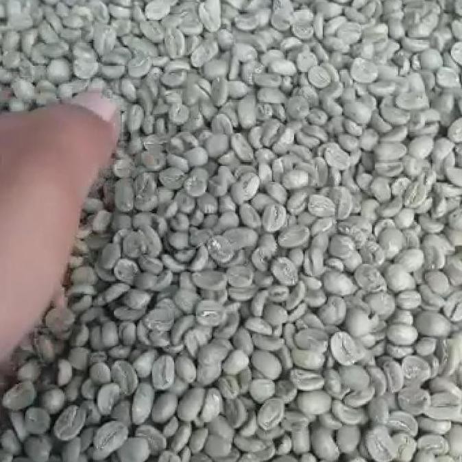 

ready stock Green Bean / Biji kopi Arabika Java Papandayan Full Wash/greenbean dry
