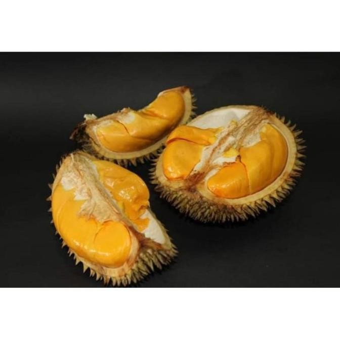 Obral BIBIT TANAMAN BUAH LAI NNNN PREMIUM