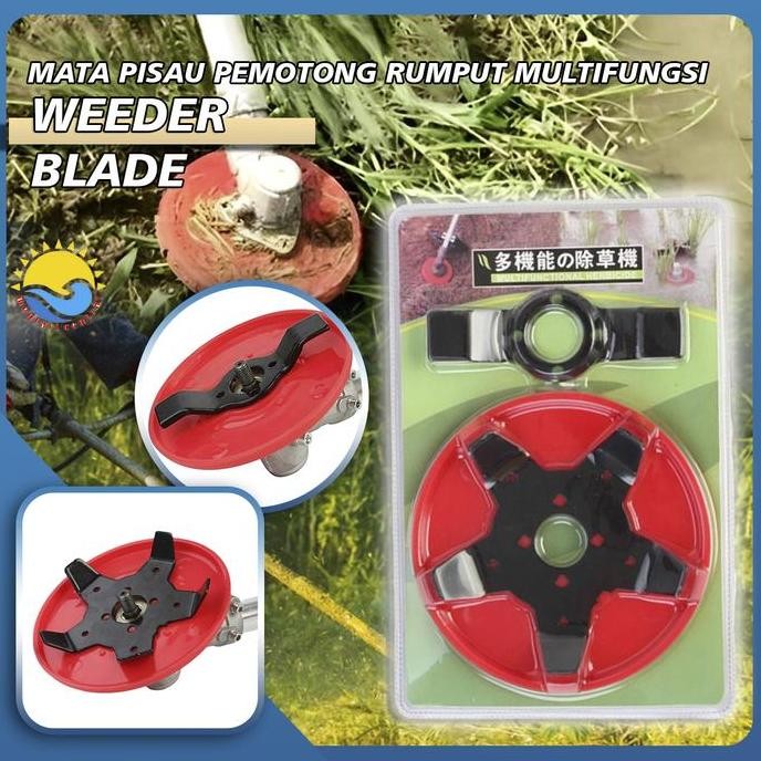 

Terlaris Mata Pisau Penyiang Gulma Matun Padi Wedder Plate 6 Blade Mata Pisau 6