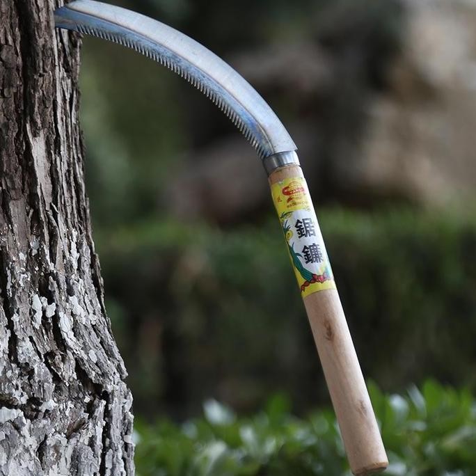 

Terlaris Sabit Pemotong Padi Rumput Baja Bergerigi Gagang Panjang Impor