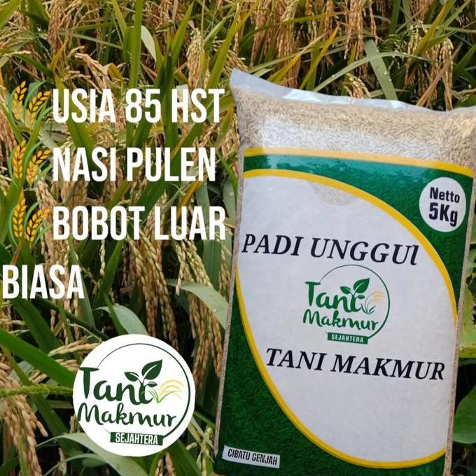 

Terlaris Benih Padi Cibatu Genjah Kemasan 5Kg