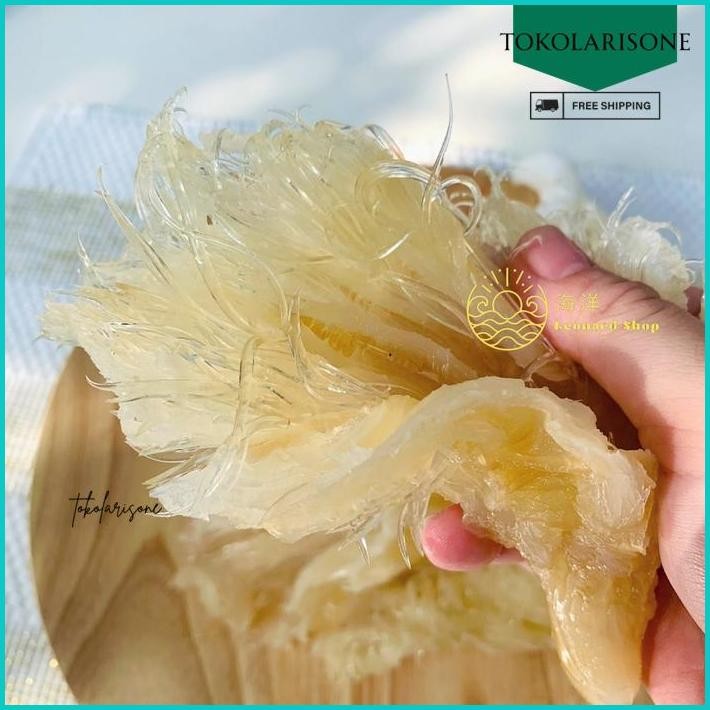 

HISIT UTUH FRESH FROZEN TEBAL SUPER UKURAN BESAR BAHAN SUP SIRIP IKAN HIU COCOK MASAKAN SUP RESTO MENU SOUP ASPARAGUS HECHI HICHI HE CHI HI SIT SHARKFIN HUPIO PERUT GELEMBUNG IKAN SCALLOP TERIPANG GOSOK HAISOM ABALON GINSENG KAKAP SEGAR KERING IKAN