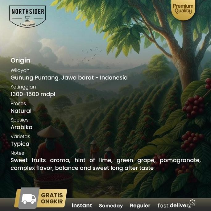 

ready stock Kopi arabika Gunung Puntang Natural coffee