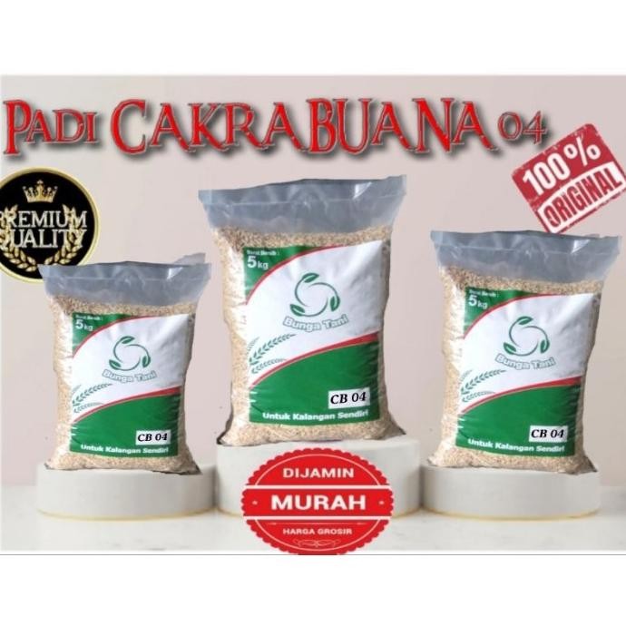 

Terlaris Benih Padi Genjah Cakrabuana 04 5Kg Original