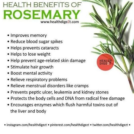 

ready stock ROSEMARY TEA : Rosemary Leaf Tea Isi 30 Tea Bag