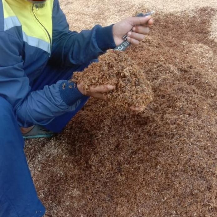 

Terlaris Media Tanam Sekam Permentasi Alami 1Kg Sekam Padi Kulit Padi Gabah