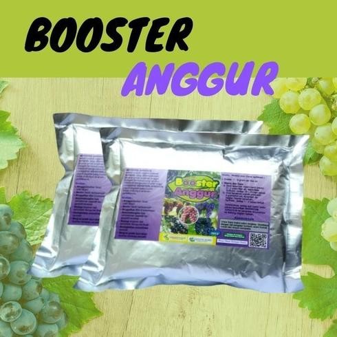 

Terlaris Pupuk Organik Booster Anggur Cepat Berbuah, Pupuk Pelebat Buah