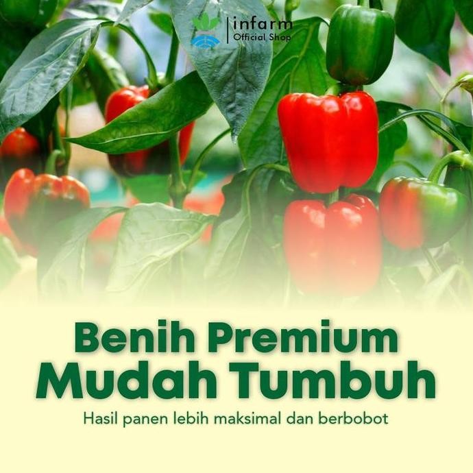 Baru Benih Sayuran Buah Paprika Infarm