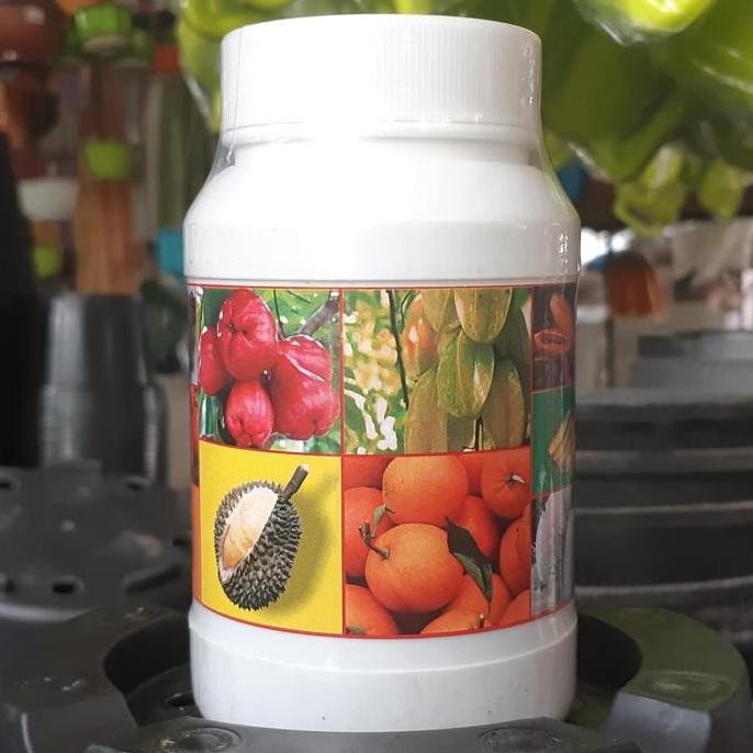 

Terlaris Pupuk Organik Padat Guano Buah 500Gr