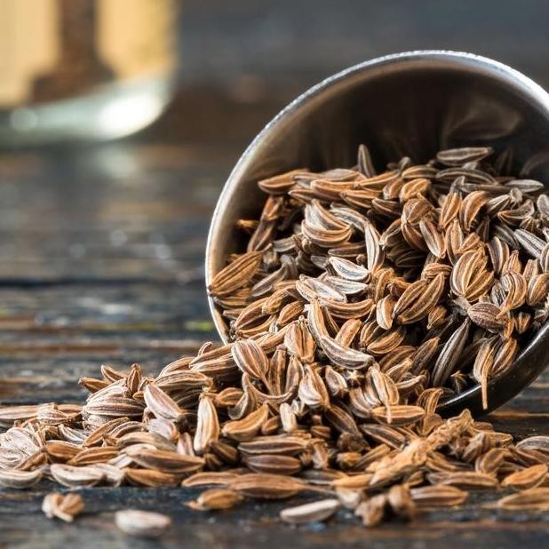 

Ready stock] Biji Jinten 25gram / Cumin Seeds / Jinten Biji / Caraway Seed