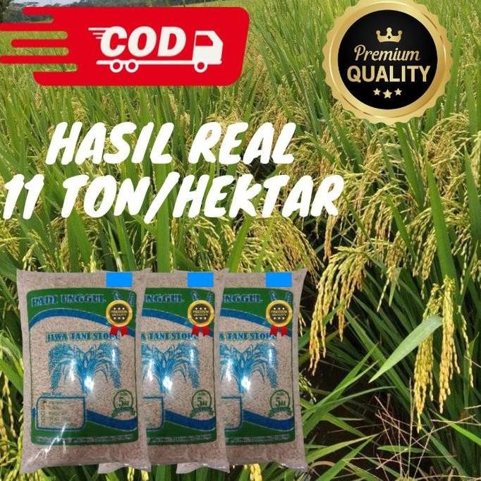 

Terlaris Padi Unggul Cibesi Ori Premium 5 Kg