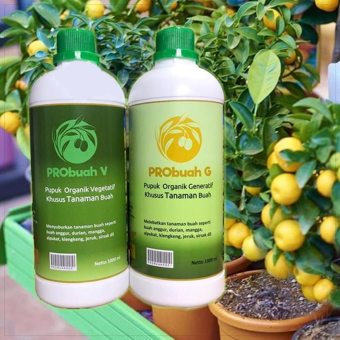 

Terlaris Probuah Pupuk Organik Pelebat Buah Tanaman Subur Berbuah Banyak