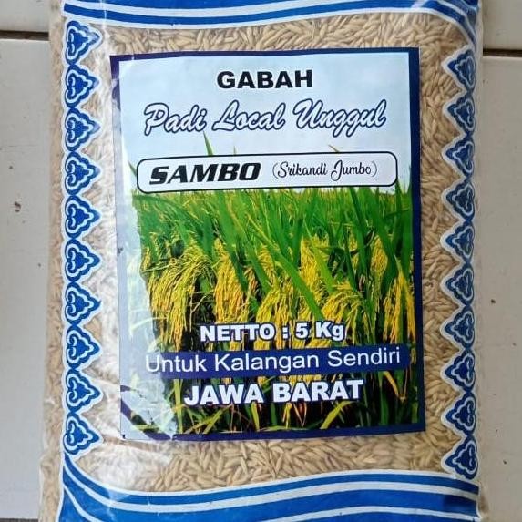 

Terlaris Benih Padi Sambo Srikandi Jumbo 5 Kg Original