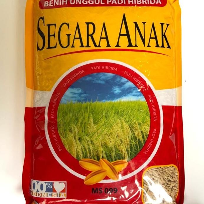 

Terlaris Benih Padi Hibrida Segara Anak Kemasan 1 Kg