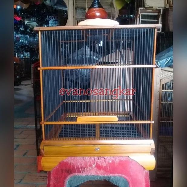 Andang Burung Pleciciblejinaan Wambi.