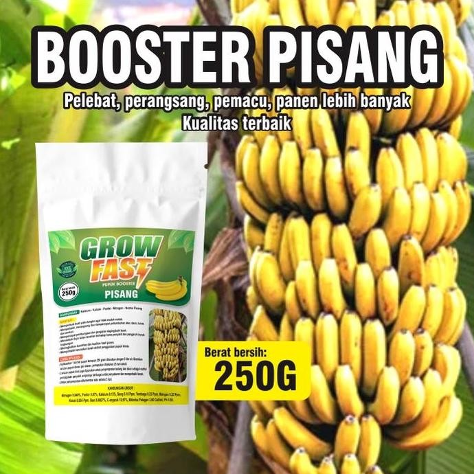 

Terlaris Pupuk Booster Pisang (250Gr) L Pupuk Organik Pelebat Pohon Pisang L Pupuk Organik Perangsang Buah Pisang