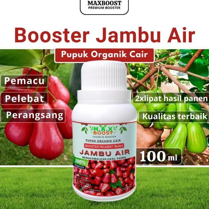 

Terlaris Booster Tanaman Jambu Air, Pupuk Organik Cair Jambu Air, Nutrisi Untuk Panen Lebih Maksimal Kemasan 100Ml Kalium