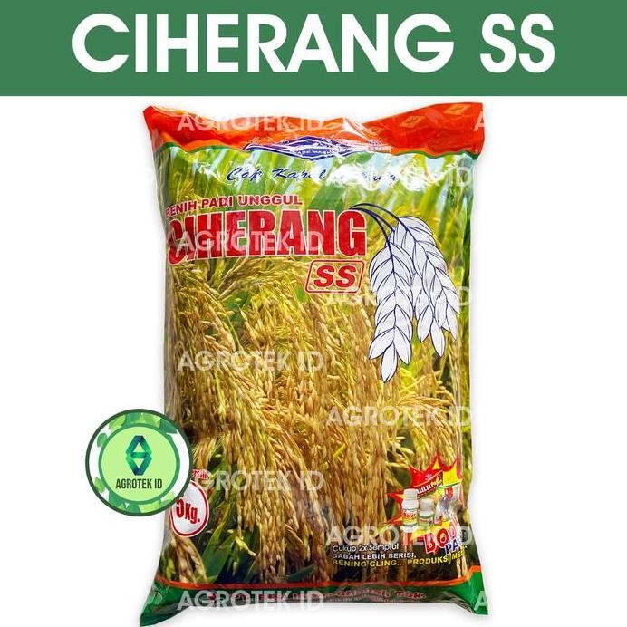 

Terlaris Benih Padi Ciherang Ss 5 Kg Cap Kapal Terbang
