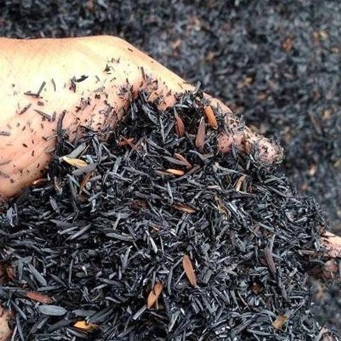 

Terlaris Media Tanam Sekam Bakar Arang Sekam Padi Siap Pakai