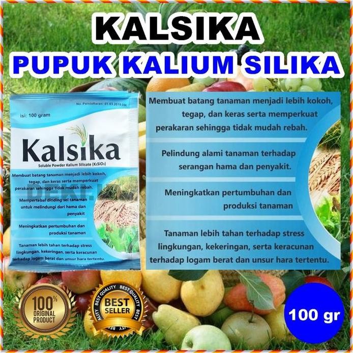 

Terlaris Pupuk Kalsika Kalium Silika 100 Gr Nutrisi Silica Organik Tanaman Buah Bunga Sayur Hias