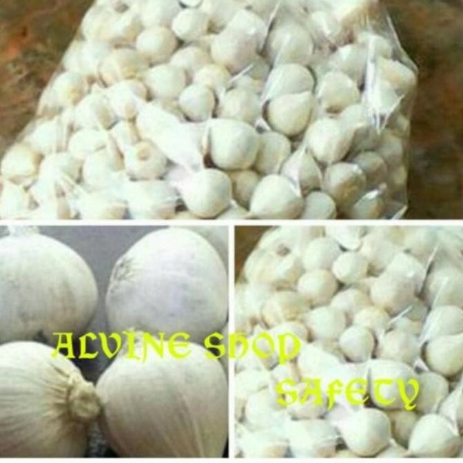 

bawang putih tunggal/bawang lanang