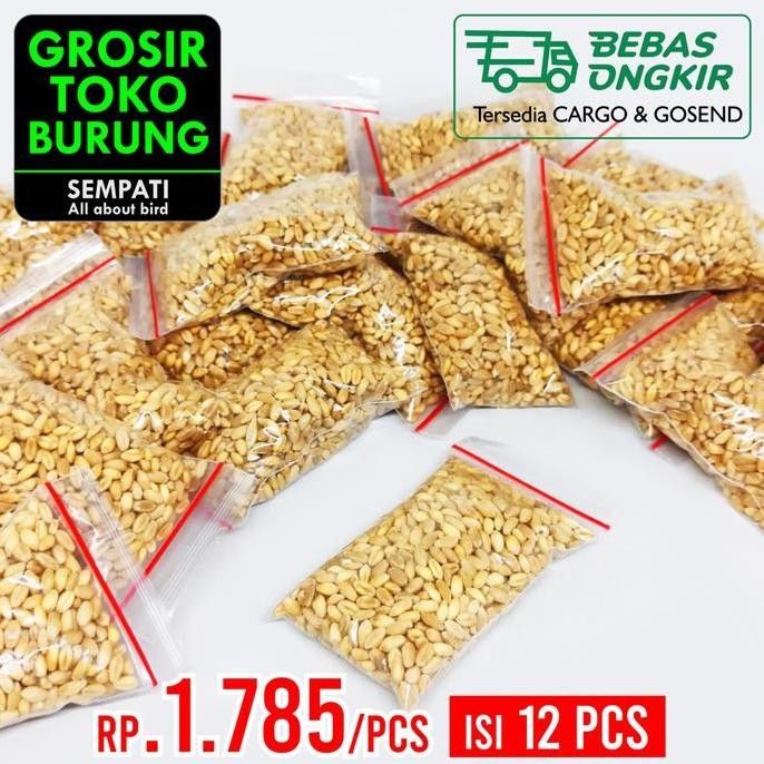 

Terlaris Sempati Grosir Benih Rumput Biji Gandum Wheatgrass Snack Kucing 12 Pcs