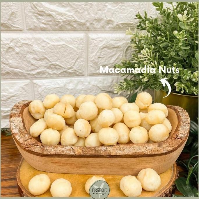 

Macadamia Nut 500 gr Premium / Kacang Macadamia 500 gr Premium