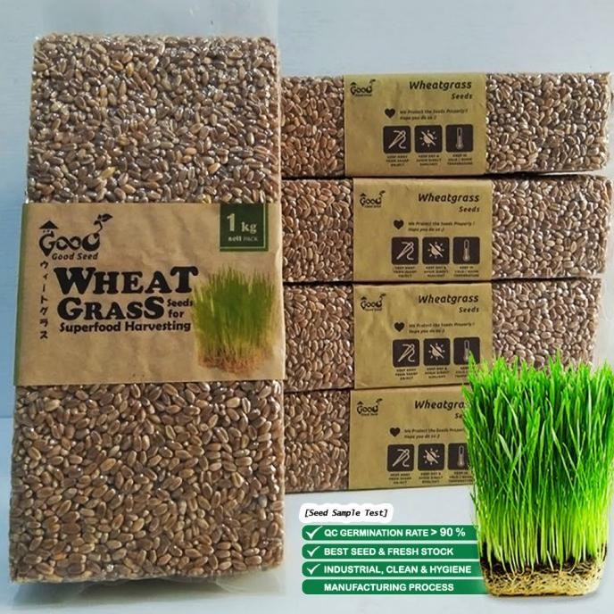 

Terlaris Benih Wheatgrass 1 Kg, Biji Rumput Gandum Kemasan Vakum Gardeningrat - Neew