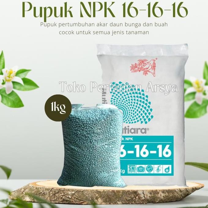 

Terlaris Meroke Pupuk Npk Mutiara 16 16 16 Kemasan 1Kg Pupuk Seimbang Masa Pertumbuhan