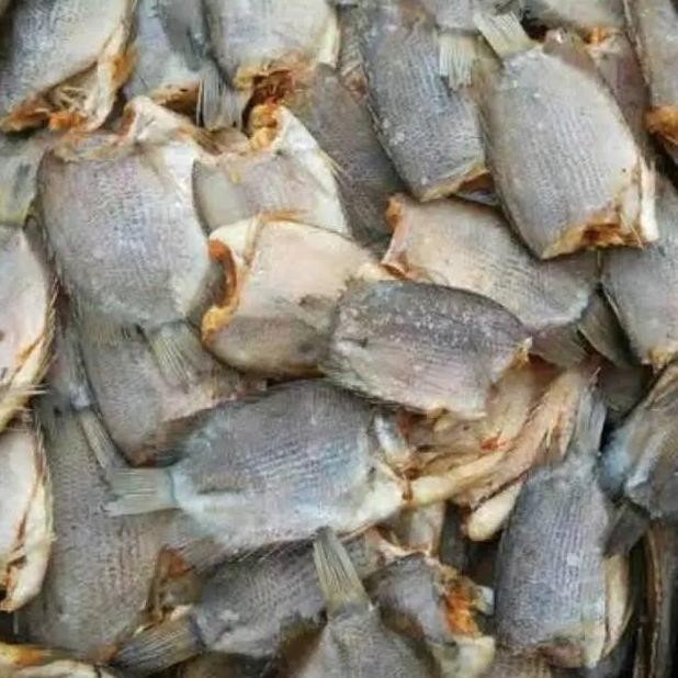

Ikan Asin Sepat 100-500 Gram Kemasan Vakum Kering