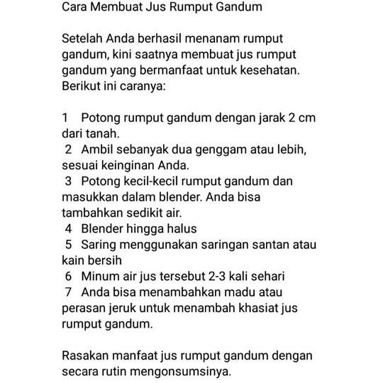 

Terlaris Diskon 3 Kg Biji Gandum Putih - Benih Wheat Grass - Benih Cat Grass