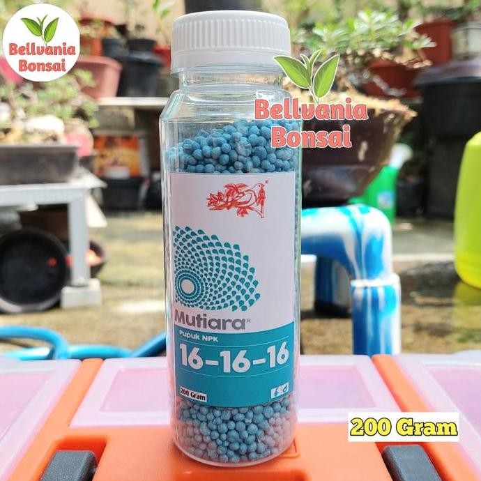 

Terlaris Pupuk Meroke Npk Mutiara 16 16 16 Isi Bersih Repack 200 Gr