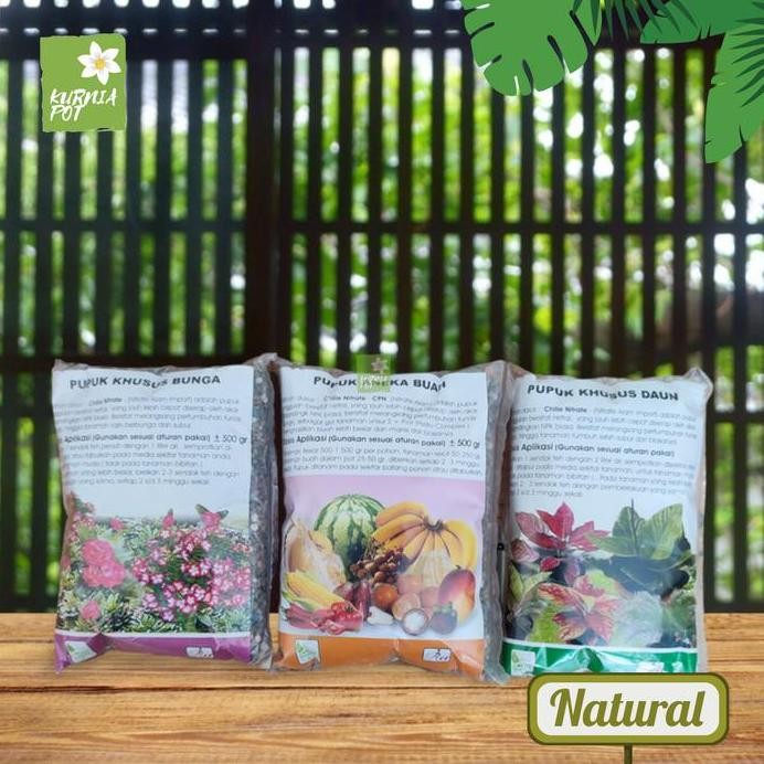 

Terlaris Pupuk Npk Khusus Tanaman Aneka Buah Bunga Daun Chilie Nitrate 500 Gr