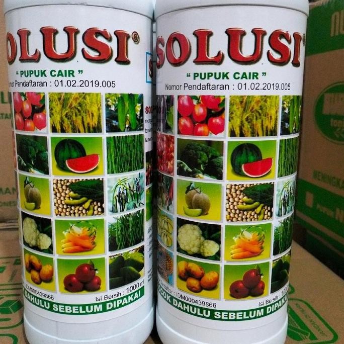 

Terlaris Npk Cair Solusi 1 Liter Mempercepat Pertumbuhan Akar Batang Daun Buah Pada Tomat Cabe Jagung Padi Bawang Merah Dan Meningkatkan Produksi Tanaman