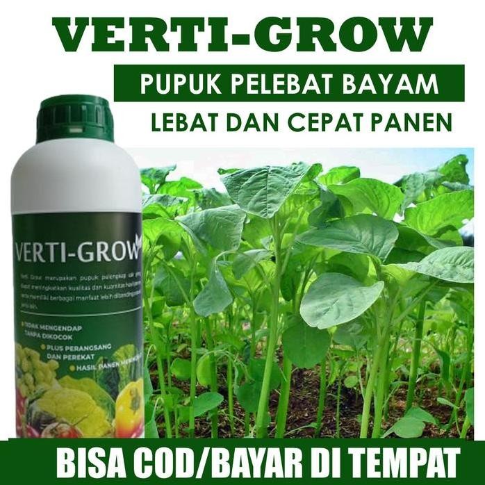 

Terlaris (Asli Murah) Vertine-Grow Pupuk Pelebat Bayam Tanpa Penyakit Dan Hama Bayam, Pupuk Npk Cair Pelebat Bayam Memperbaiki Tanaman Bayam Akar, Batang Dan Cabang, Pupuk Lengkap Bayam Sehat, Kuat Dan Cepat Panen 100% Original