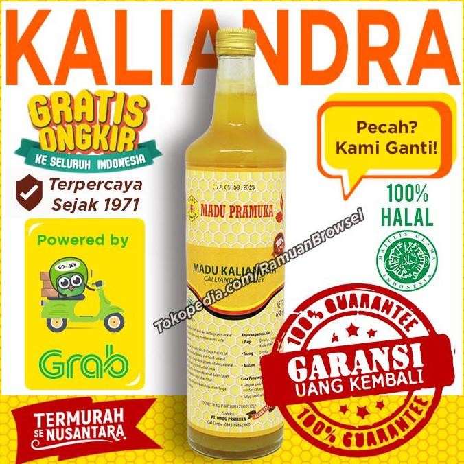 

BARU MADU PRAMUKA KALIANDRA 650 ML