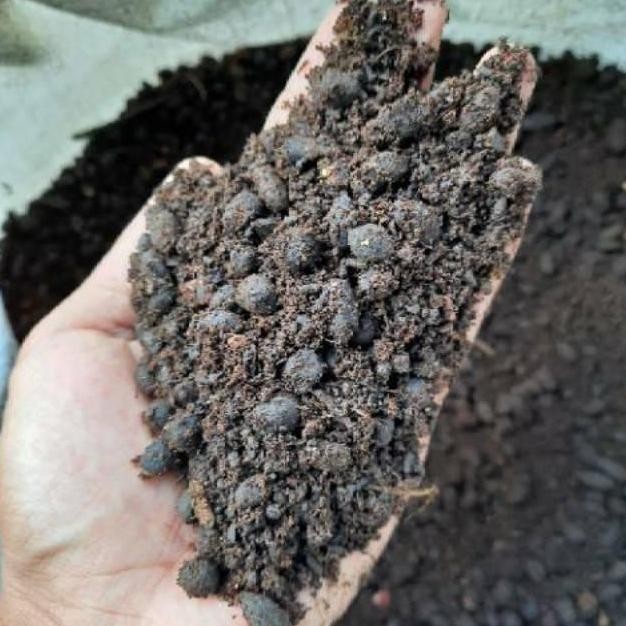 

Terlaris Kohe - Pupuk Kandang - Kotoran Kambing Siap Pakai - Murah