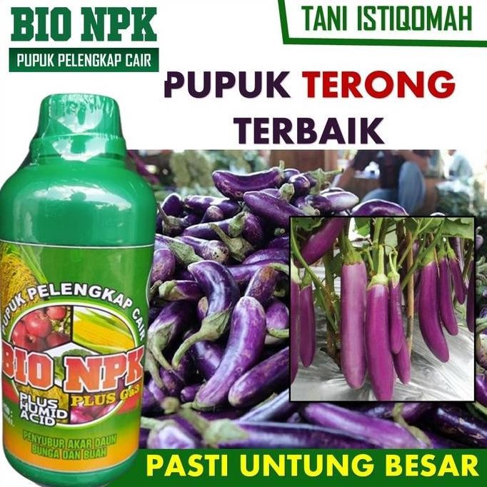 

Terlaris Obat Pembesar Terong Paling Bagus Npk Gaza 500 Ml Pupuk Pelebat Terong Manjur Alami Dan Ampuh Pupuk Penutrisi Terong Ungu, Terong Bulat Dan Semua Jenis Terong Lainnya