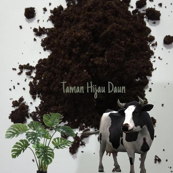 

Terlaris Pupuk Kandang Kemasan 1Kg Tidak Berbau Kotoran Sapi