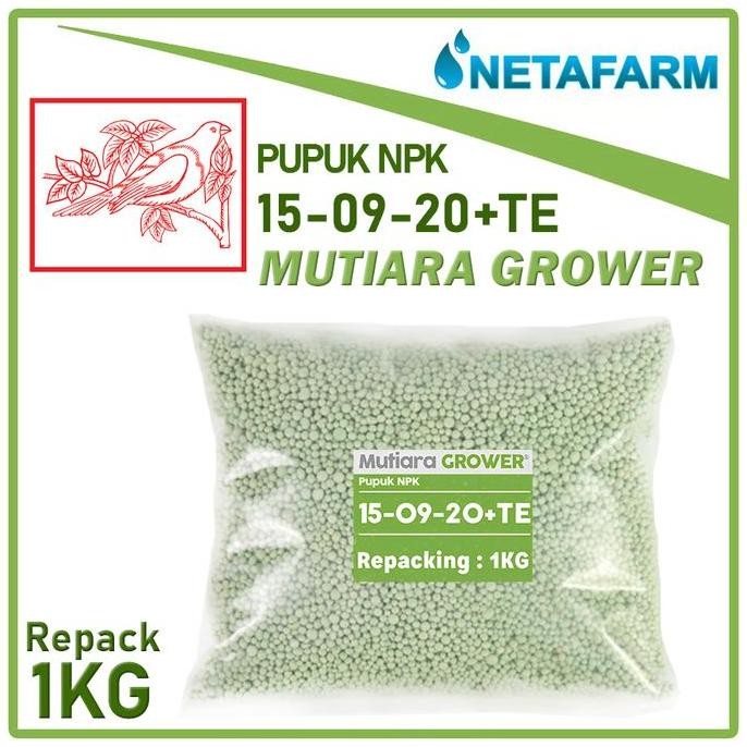 

Terlaris Pupuk Npk 15-9-20 Mutiara Grower Meroke Repacking 1 Kg