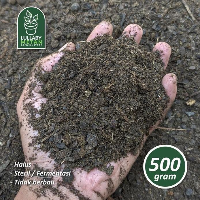

Terlaris Pupuk Kandang Kambing Halus 500Gr