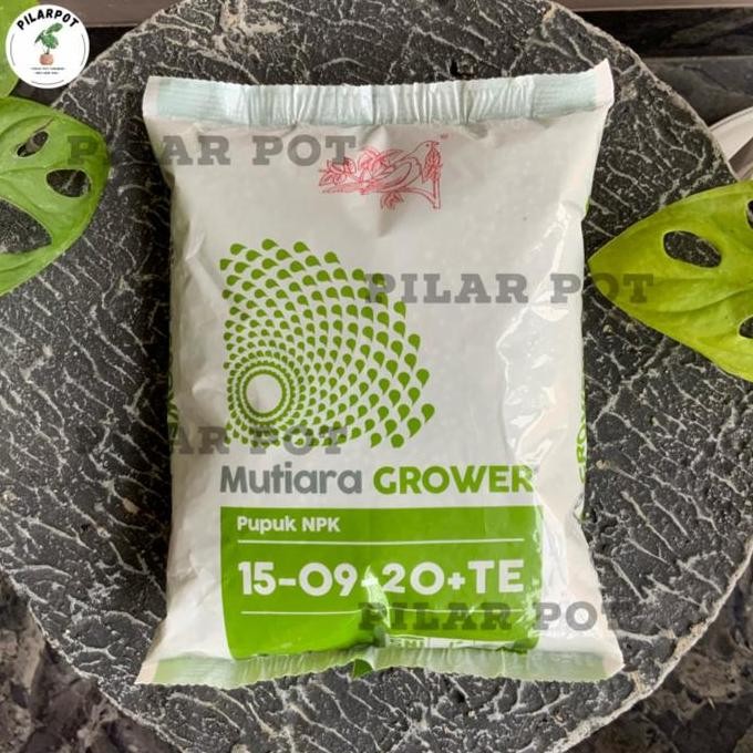 

Terlaris Pupuk Meroke Npk Mutiara Grower 15-09-20+Te Kemasan Pabrik 1 Kg