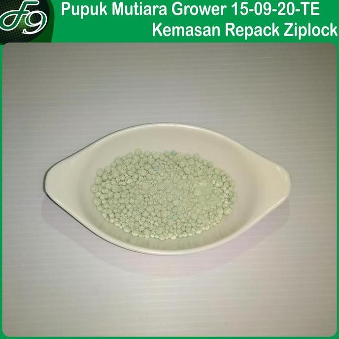 

Terlaris Pupuk Npk Mutiara Grower 15 09 20 Te Nutrisi Pertumbuhan Bunga Buah Tanaman Sayur Buah Bunga Grower 1