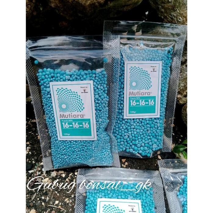 

Terlaris Npk Mutiara 16 16 16 Pupuk Seimbang Tanaman Hias