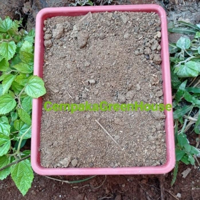 

Terlaris Pupuk Kandang Ayam Murni Tanpa Campuran Sekam